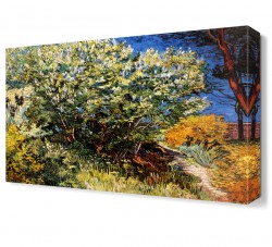 Çalılıklar Tablosu