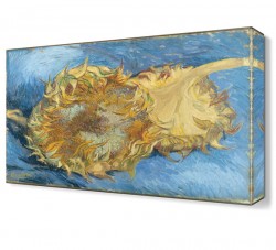 Ay Çiçeği 2 Tablosu