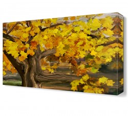 Sarı Yapraklı Ağaç Tablosu