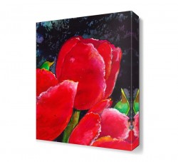 Pembe Gelincikler Tablosu