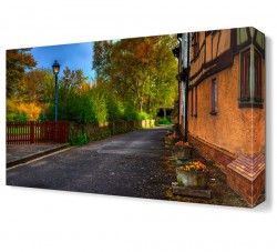 Ağaçlar ve Sokak Tablosu