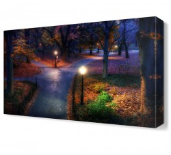 Central Park Tablosu