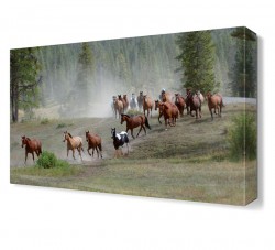 Koşan Sürüsü Tablosu