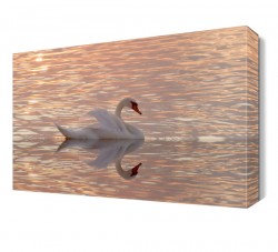 Günbatımında Yüzen Beyaz Kuğu Tablosu