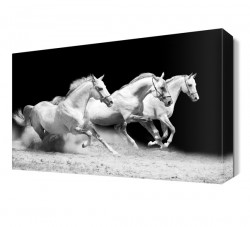 Koşan Beyaz Üçlü At Tablo