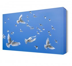 Gökyüzünde Güvercin Tablosu