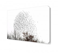 Kuş Sürüsü Tablosu