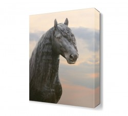 Siyah Uzun Yeleli At Tablosu