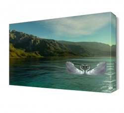 Çift Kuğular Tablosu