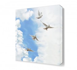 Uçan Güvercinler Tablosu