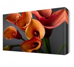 Turuncu Çiçekler Canvas Tablo