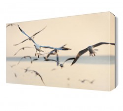 Uçan Martılar Tablosu