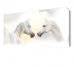 Beyaz Atlar3 Tablo