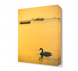 Kayık ve Kuğu Tablosu