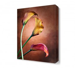 Üç Çiçek Tablosu