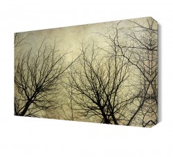 Yapraksız Ağaçlar Tablosu