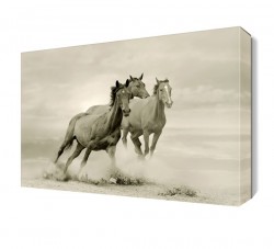 Koşan Atlar Tablosu