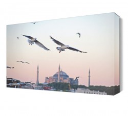 Cami ve Martılar Tablosu