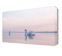 Denizdeki Kuğular 2 Tablosu