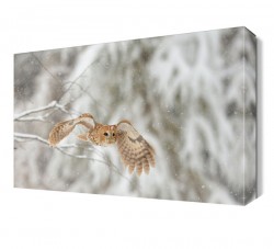 Uçan Baykuş Tablosu