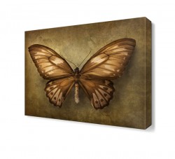 Kahverengi Kelebek Tablosu