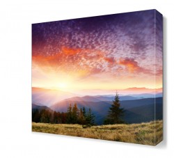 Mor Gökyüzü ve Ağaçlar Canvas Tablo