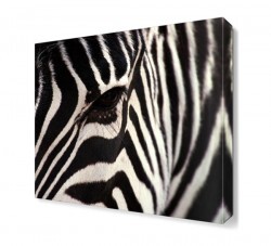 Zebra Çizgileri Canvas Tablo (1)