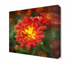 Yağlı Boya Kırmızı Çiçek Tablosu