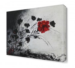 Siyah Beyaz Kasımpatı Tablosu