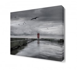 Deniz Feneri ve Kuşlar Tablosu