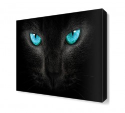 Kedinin Gözleri Tablosu