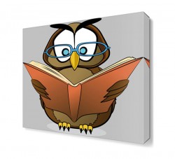 Kitap Okuyan Baykuş Tablosu