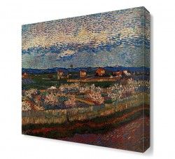 Köy ve Tarla Tablosu