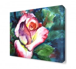 Pembe Yapraklı Gül Tablosu