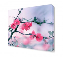 Pembe Küçük Çiçekler Tablosu