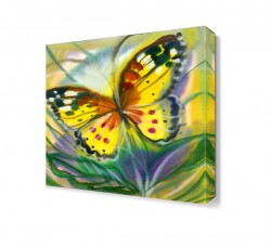 Sevimli Kelebek Tablosu