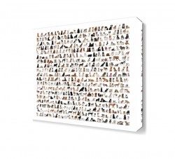 Sevimli Köpek Türleri Canvas Tablo