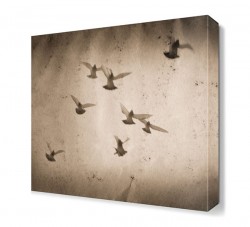 Uçan Güvercinler Canvas Tablo